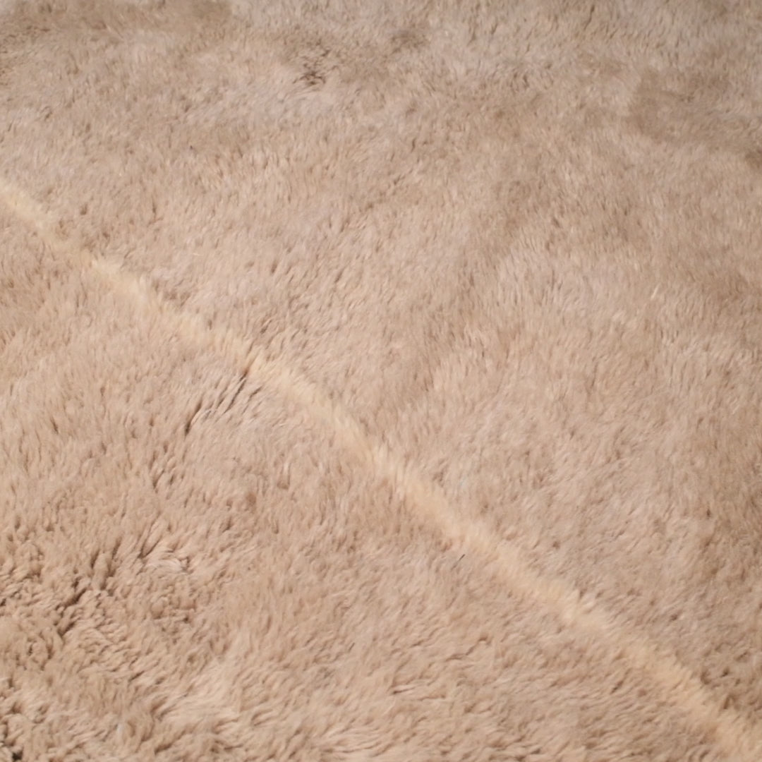 Desert Sands Rug